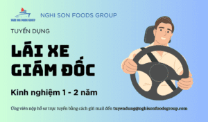 Nghi Son Foods Group tuyển dụng lái xe giám đốc