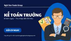 Tuyển dụng kế toán trưởng đi làm ngay