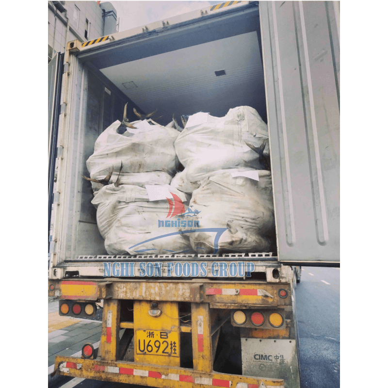 8-container-load-yellowfin-tuna-nghi-son-foods-group-and-hai-trieu-food